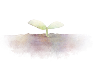 page.64 青澀之心